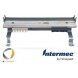 Термоголовка Honeywell (Intermec) PX6I (168mm) - 200DPI, 1-040084-900