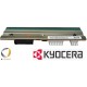 Термоголовка Kyocera (172mm) - 305DPI, KST-172-12TAO8-SKK