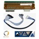 Термоголовка Zodiac Eagle KIT(107mm) - 300DPI, 216585LH (с кабелем)