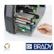 Протягивающий резиновый вал шириной  Brady i7100 (25mm), brd149048